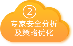 专家安全分析及策略优化